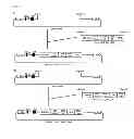 Fig. 02 - Chimeric antigen receptor