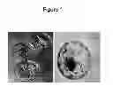 Fig. 02 - Methods for transferring molecular substances into plant cells