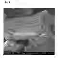 Fig. 06 - LIGNIN COMPOSITIONS, METHODS OF PRODUCING THE COMPOSITIONS, METHODS OF USING LIGNIN COMPOSITIONS, AND PRODUCTS PRODUCED THEREBY