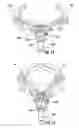 Fig. 08 - Toy apparatus
