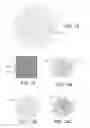 Fig. 09 - SPECTROGRAPHIC METROLOGY WITH MULTIPLE MEASUREMENTS
