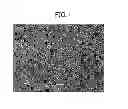 Fig. 02 - Polishing pad and method for producing same