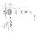 Fig. 07 - Master reference for base station network interface sourced from distributed antenna system