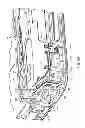 Fig. 22 - Handheld Electronic Device With Cable Grounding