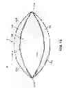Fig. 14 - Method of inflatable game ball panel construction