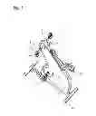 Fig. 02 - TOTAL BODY EXERCISE EQUIPMENT