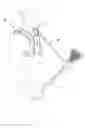 Fig. 01 - Exercise device for enhancing muscle memory and strength
