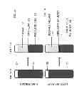 Fig. 02 - BLOOD AND BONE MARROW SIMULANT