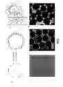 Fig. 02 - Direct assembly of hydrophobic nanoparticles to multifunction structures