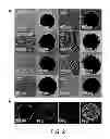 Fig. 03 - Direct assembly of hydrophobic nanoparticles to multifunction structures
