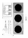 Fig. 04 - Direct assembly of hydrophobic nanoparticles to multifunction structures