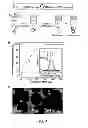 Fig. 05 - Direct assembly of hydrophobic nanoparticles to multifunction structures