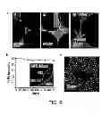 Fig. 08 - Direct assembly of hydrophobic nanoparticles to multifunction structures