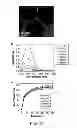 Fig. 15 - Direct assembly of hydrophobic nanoparticles to multifunction structures