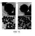Fig. 16 - Direct assembly of hydrophobic nanoparticles to multifunction structures