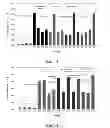 Fig. 07 - Multi-spot metal-capped nanostructure array nucleic acid chip for diagnosis of corneal dystrophy and preparation method thereof