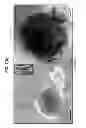 Fig. 03 - CULTURE MEDIA FOR STEM CELLS