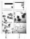 Fig. 07 - CULTURE MEDIA FOR STEM CELLS