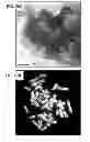 Fig. 08 - CULTURE MEDIA FOR STEM CELLS