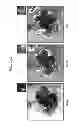 Fig. 11 - CULTURE MEDIA FOR STEM CELLS