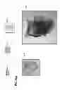 Fig. 19 - CULTURE MEDIA FOR STEM CELLS