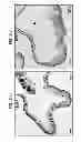 Fig. 20 - CULTURE MEDIA FOR STEM CELLS