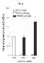 Fig. 22 - CULTURE MEDIA FOR STEM CELLS
