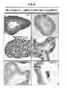 Fig. 26 - CULTURE MEDIA FOR STEM CELLS