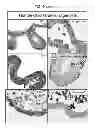 Fig. 27 - CULTURE MEDIA FOR STEM CELLS