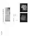 Fig. 44 - CULTURE MEDIA FOR STEM CELLS