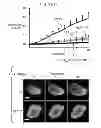 Fig. 72 - CULTURE MEDIA FOR STEM CELLS