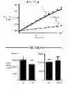 Fig. 74 - CULTURE MEDIA FOR STEM CELLS