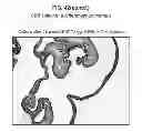 Fig. 92 - CULTURE MEDIA FOR STEM CELLS