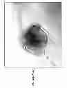 Fig. 94 - CULTURE MEDIA FOR STEM CELLS