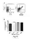 Fig. 22 - High-throughput system and method for identifying antibodies having specific antigen binding activities
