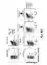 Fig. 28 - High-throughput system and method for identifying antibodies having specific antigen binding activities