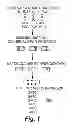 Fig. 02 - METHODS AND PRODUCTS RELATED TO GENOTYPING AND DNA ANALYSIS