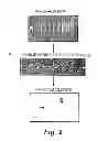 Fig. 03 - METHODS AND PRODUCTS RELATED TO GENOTYPING AND DNA ANALYSIS