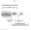 Fig. 02 - METHODS AND COMPOSITIONS FOR THE EFFICIENT REUSE OF MULTIPLY DYED PARTICLES