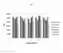 Fig. 08 - METHODS AND COMPOSITIONS FOR THE EFFICIENT REUSE OF MULTIPLY DYED PARTICLES