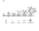 Fig. 02 - NUCLEIC ACID COMPOSITIONS, METHODS AND KITS FOR RAPID PAIRING OF AFFINITY AGENTS