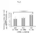 Fig. 10 - Method for evaluating drug sensitivity and disease vulnerability by analyzing cyclic AMP responsive element binding protein gene