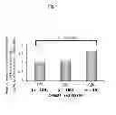 Fig. 14 - Method for evaluating drug sensitivity and disease vulnerability by analyzing cyclic AMP responsive element binding protein gene
