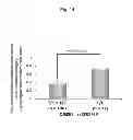 Fig. 15 - Method for evaluating drug sensitivity and disease vulnerability by analyzing cyclic AMP responsive element binding protein gene