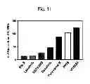 Fig. 06 - MULTIPLEXED KINASE INHIBITOR BEADS AND USES THEREOF