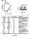 Fig. 07 - MULTIPLEXED KINASE INHIBITOR BEADS AND USES THEREOF