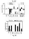 Fig. 09 - MULTIPLEXED KINASE INHIBITOR BEADS AND USES THEREOF