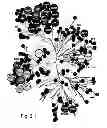 Fig. 11 - MULTIPLEXED KINASE INHIBITOR BEADS AND USES THEREOF