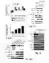 Fig. 22 - MULTIPLEXED KINASE INHIBITOR BEADS AND USES THEREOF