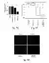 Fig. 31 - MULTIPLEXED KINASE INHIBITOR BEADS AND USES THEREOF